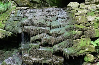 Space of Joy In Carpathian Mountains 2009