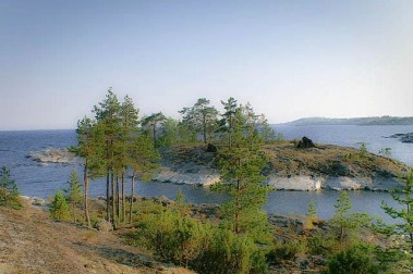 Space of Joy Karelia 2010